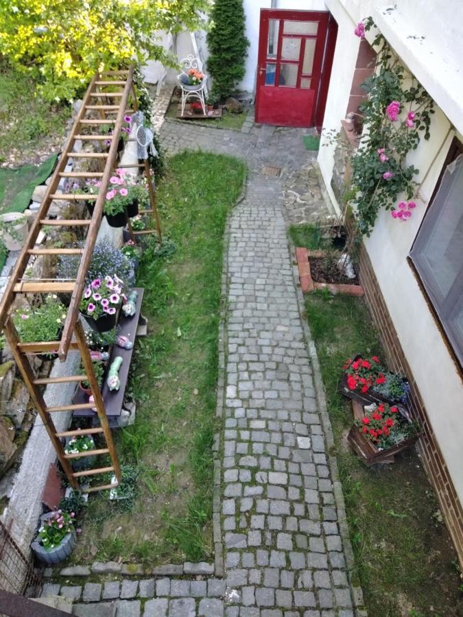 Salas-Dum Pro Spolecnou Dovolenou Az 11 Osob Buitenkant foto